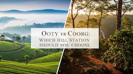 Ooty vs Coorg: Which Hill Station Should You Choose For Your Next Trip