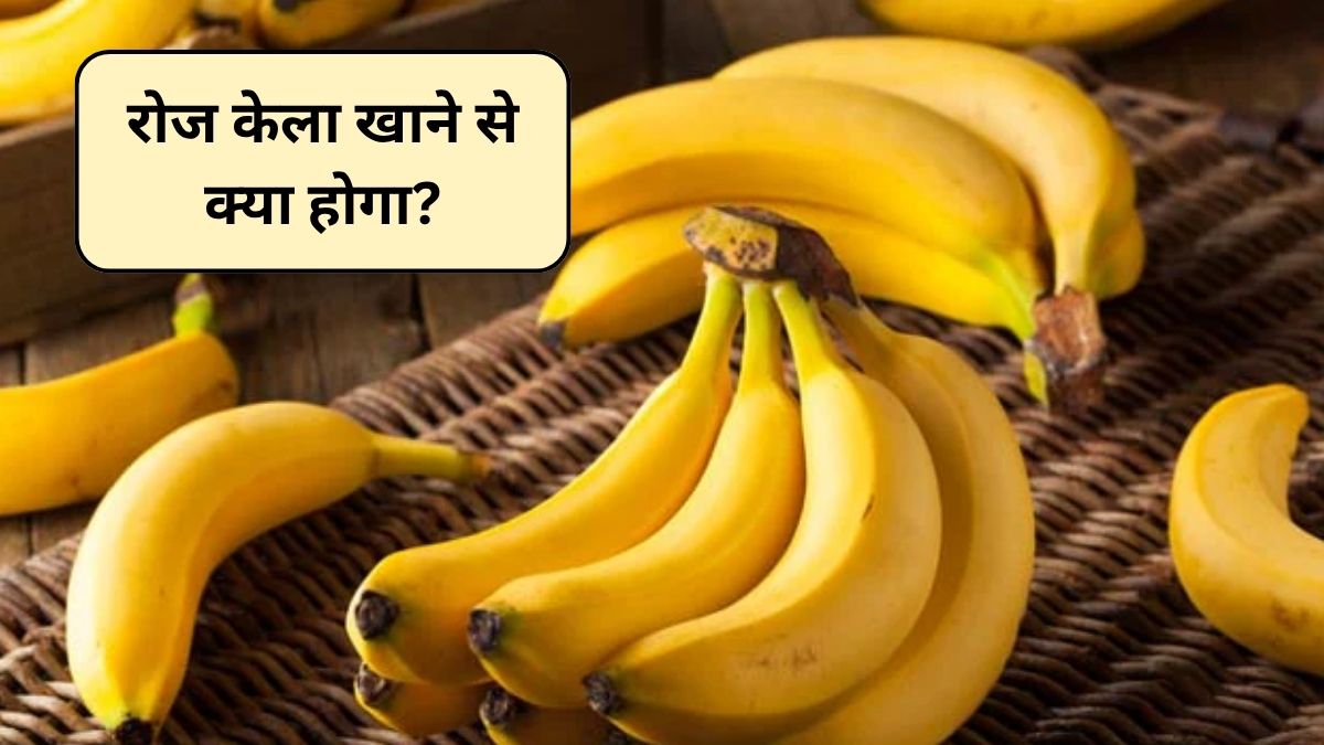 guava vs banana,which fruit is better for breakfast,guava benefits vs banana benefits,guava for breakfast,banana for breakfast,best fruits for breakfast,guava vs banana nutrition,guava for weight loss,banana for energy,fruits for digestion Latest and Breaking News on NDTV