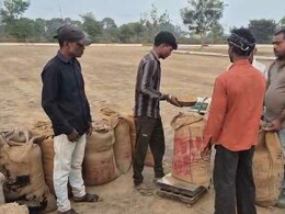 Chhattisgarh Dhan Kharidi: बलौदा बाजार में धान खरीदी पर संकट, 13 हड़ताली समिति कर्मचारी बर्खास्त, 3 पर एफआईआर की तैयारी