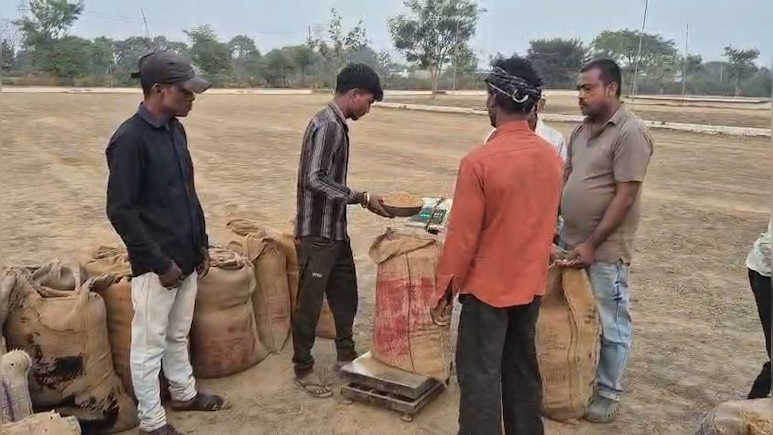 छत्तीसगढ़ में धान खरीदी ने पकड़ा जोर, अब तक इतने क्विंटल की हो चुकी है खरीदी, केंद्रों में कड़ी निगरानी 