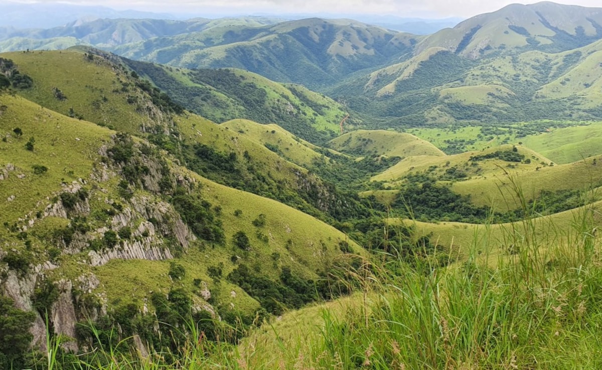 Latest and Breaking News on NDTV