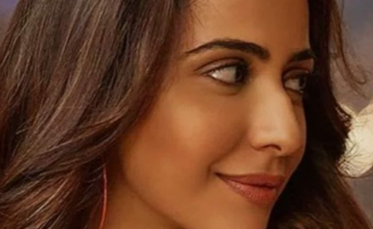 क्या होती हैं ब्लू फैमिली एंटरटेनर फिल्में? क्या आपने देखी हैं लिस्ट में शामिल ये फिल्में