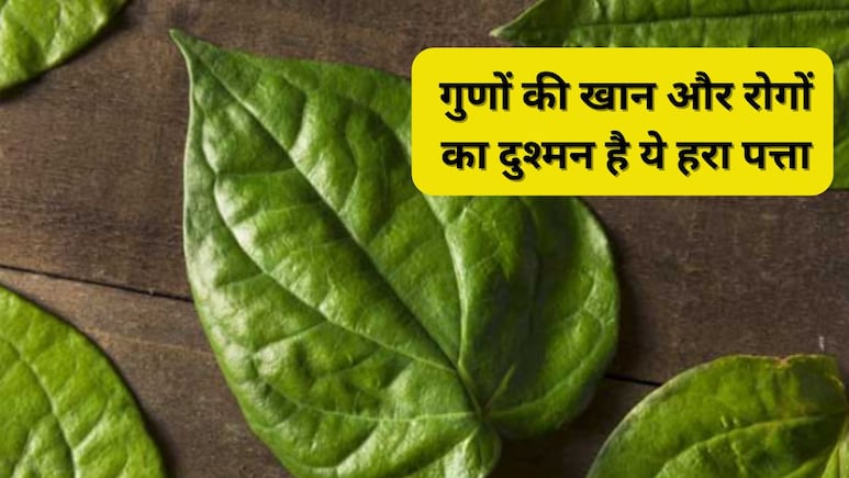 इन 4 बीमारियों का काल है 5 रुपए का ये हरा पत्ता, बस पता होना चाहिए खाने का सही तरीका