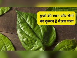 इस एक पत्ते का सेवन बदल देगा आपका जीवन, Doctor ने बताया इसे 100 साल तक स्वस्थ रहने का राज
