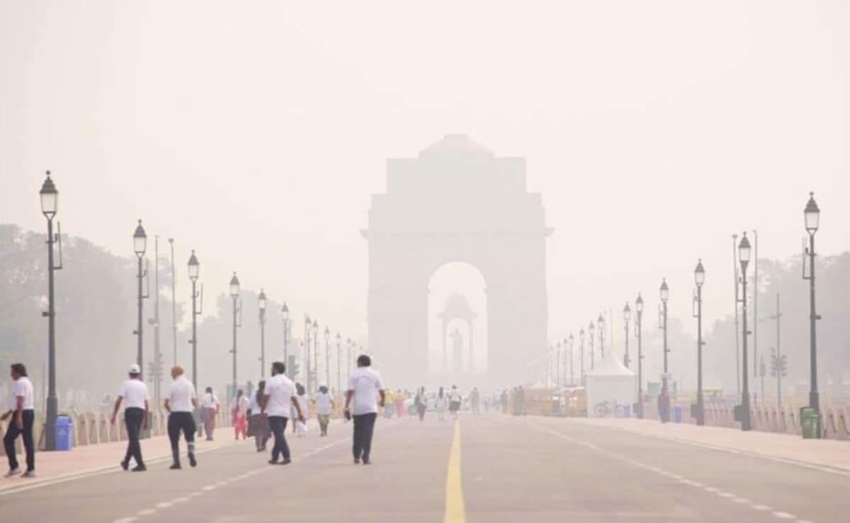 AIIMS Neurologist Shares 5 Tips To Stay Safe As Delhi-NCR AQI Slips To 'Severe' Category