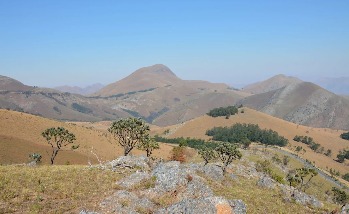 Latest and Breaking News on NDTV