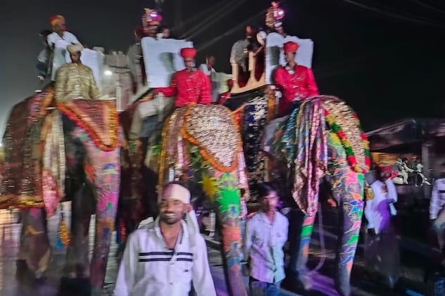 हाथी पर निकली शाही बंदौली