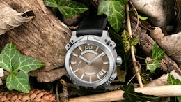 India Imported Swiss Luxury Watches Worth Rs 2,640 Crore This Year