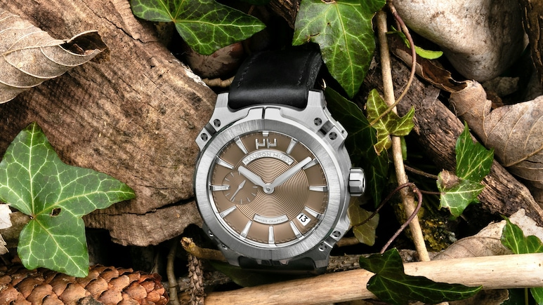 India Imported Swiss Luxury Watches Worth Rs 2,640 Crore This Year