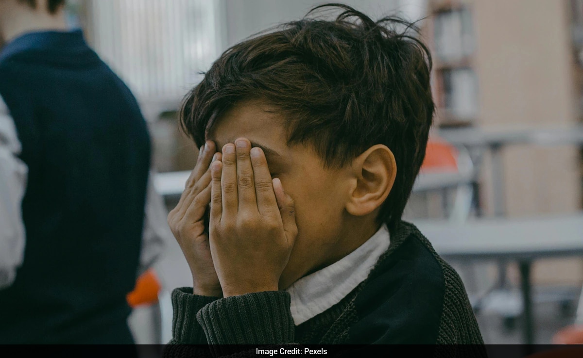 TikTok's "Flip The Camera" Challenge Sparks Online Bullying Concerns