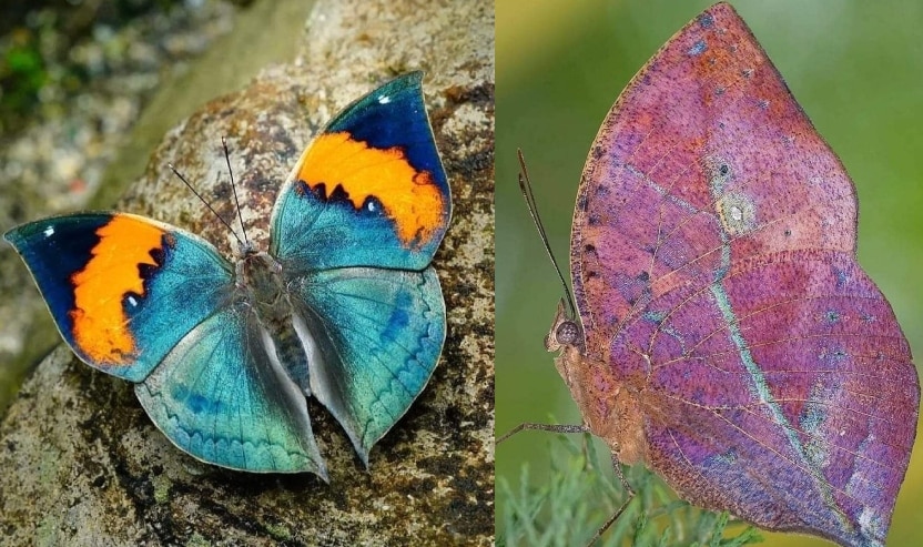 Latest and Breaking News on NDTV Latest and Breaking News on NDTV