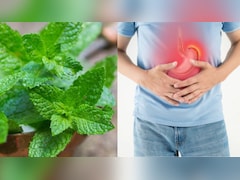 दिन में दो बार ये पत्ता चबा लिया, तो गैस-एसिडिटी रहेगी कोसों दूर, आराम से पचेगा खाना