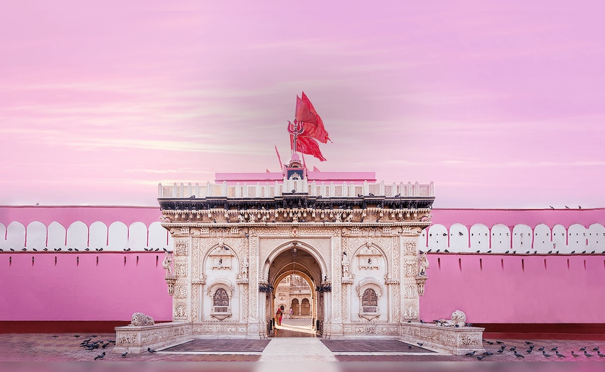 Inside Karni Mata Temple: Where Rats Are Worshipped As Sacred Beings