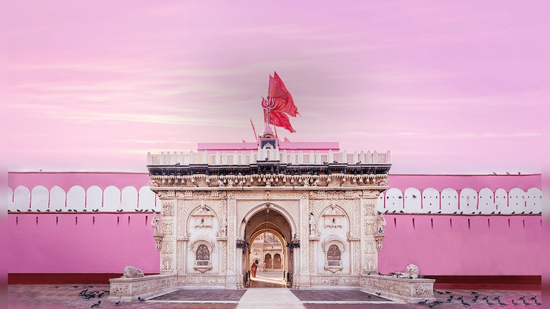 Inside Karni Mata Temple, Bikaner: Where Thousands Of Rats Are Worshipped As Sacred Beings