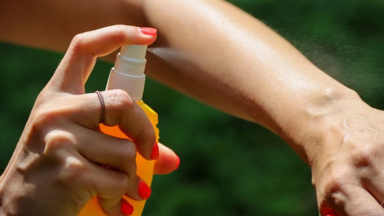 Mosquito Repellents For Indoors And Outdoors: Know What Actually Works