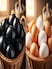 Kadaknath Black Eggs vs Regular Eggs: Which One Has More Protein?