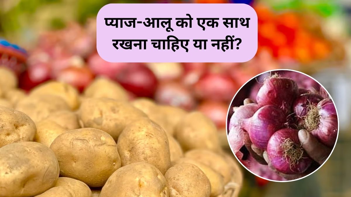आलू और प्याज को एक-साथ क्यों नहीं रखना चाहिए? जानिए इसके नुकसान और स्टोर करने का सही तरीका