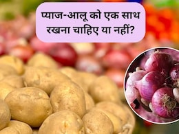 आलू और प्याज को एक-साथ क्यों नहीं रखना चाहिए? जानिए इसके नुकसान और स्टोर करने का सही तरीका
