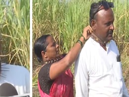 गले में कांटेदार पट्टा पहनकर खेती कर रहे पुणे के किसान, जान बचाने का जुगाड़, वजह हैरान कर देगी