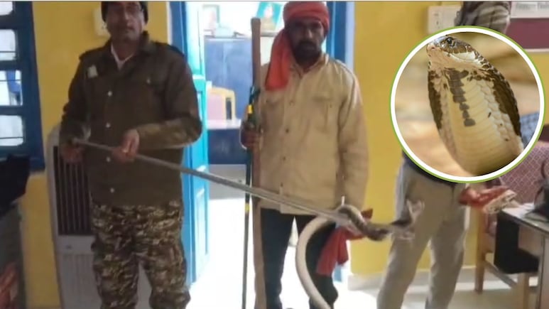 MP: थाने में दिखा जहरीला मेहमान, पुलिसकर्मियों की फूली सांसें, मच गया हड़कंप, फिर हुआ ये...