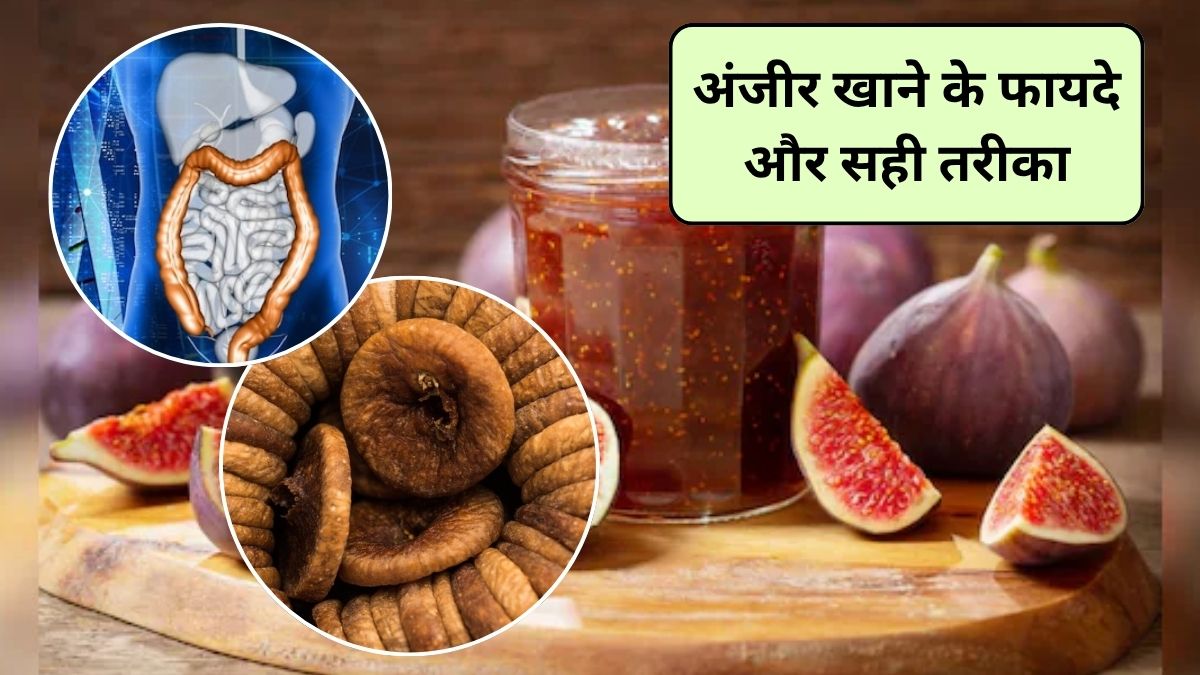 Anjeer Ke Fayde: सर्दियों में अंजीर खाने से क्या होता है? अंजीर खाने के सही समय और तरीका, एक्सपर्ट से जानिए