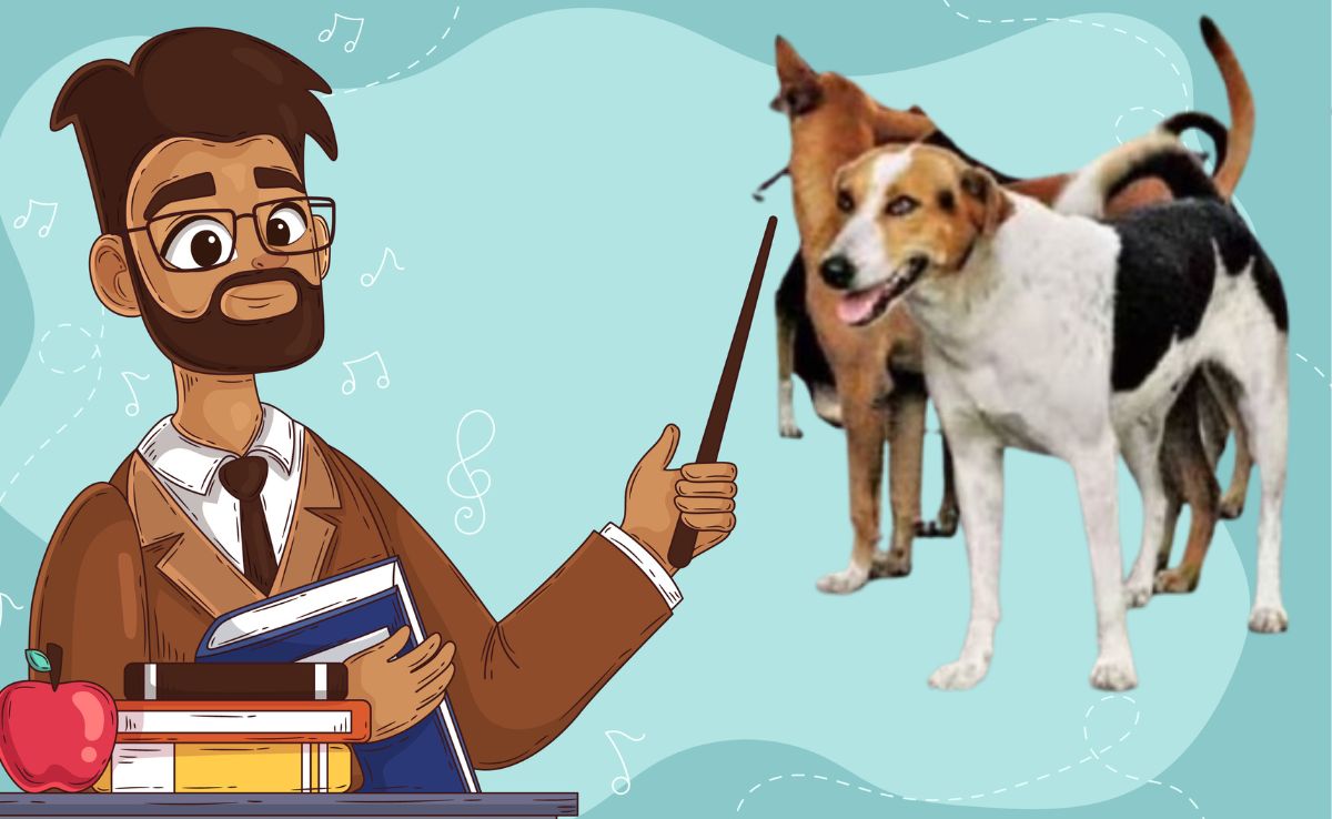 गुरुजी अब पढ़ाएं या कुत्ते भगाएं? छत्तीसगढ़ में शिक्षकों के लिए नए फरमान पर छिड़ा घमासान