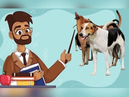 गुरुजी अब पढ़ाएं या कुत्ते भगाएं? छत्तीसगढ़ में शिक्षकों के लिए नए फरमान पर छिड़ा घमासान