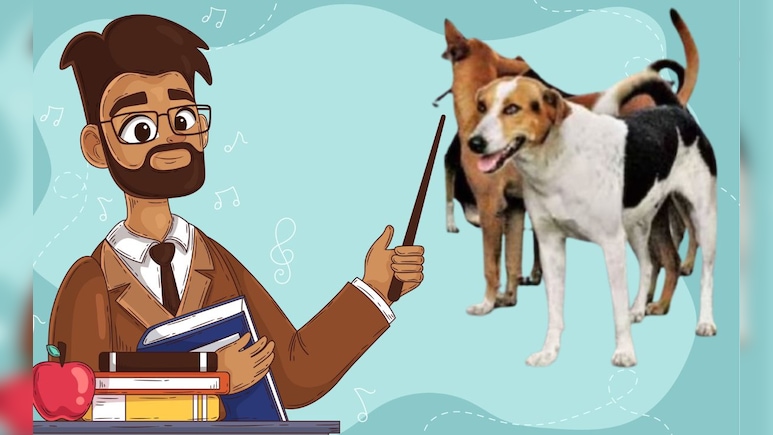 गुरुजी अब पढ़ाएं या कुत्ते भगाएं? छत्तीसगढ़ में शिक्षकों के लिए नए फरमान पर छिड़ा घमासान