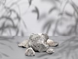 Lohum Aims 20% Of India's Rare Earth Magnet Demand With First Plant After China Hurdles Lohum Aims 20% Of India's Rare Earth Magnet Demand With First Plant After China Hurdles