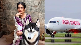 Raveena Tandon Calls Out Air India For Not Being Pet-Friendly: "You Put Pet Parents Through A Lot"