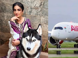 Raveena Tandon Calls Out Air India For Not Being Pet-Friendly: "You Put Pet Parents Through A Lot"
