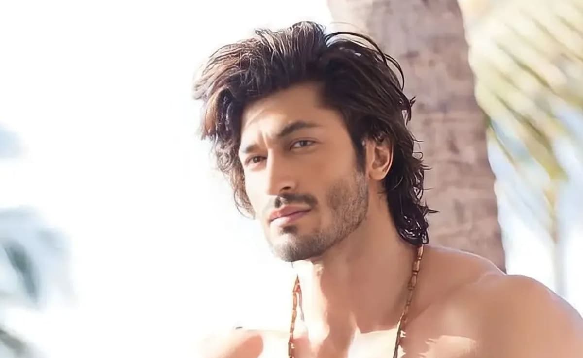 "Vidyut Jammwal Does Not Believe In Protein," Says Hollywood Co-Star Andrew Schulz