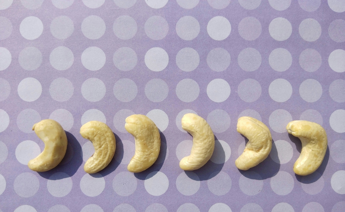 Latest and Breaking News on NDTV Latest and Breaking News on NDTV