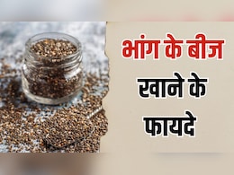 भांग के बीज खाने के क्या फायदे हैं? न्यूट्रिशनिस्ट ने बताया रोज Hemp Seeds खाने से क्या होता है