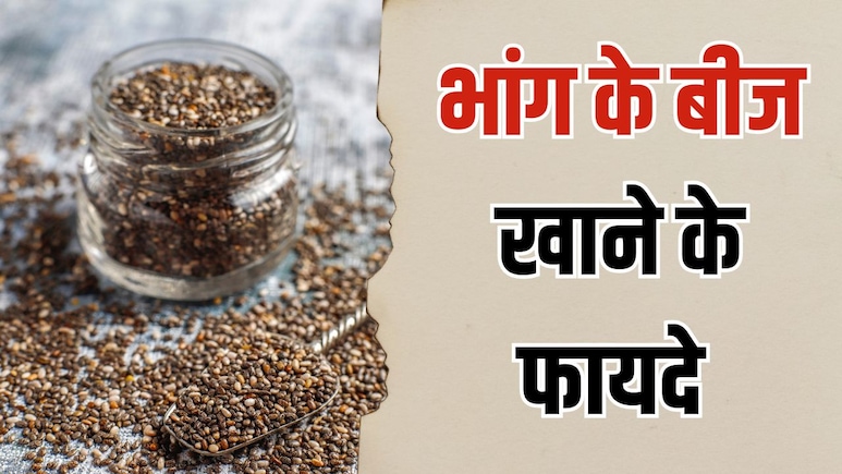 भांग के बीज खाने के क्या फायदे हैं? न्यूट्रिशनिस्ट ने बताया रोज Hemp Seeds खाने से क्या होता है
