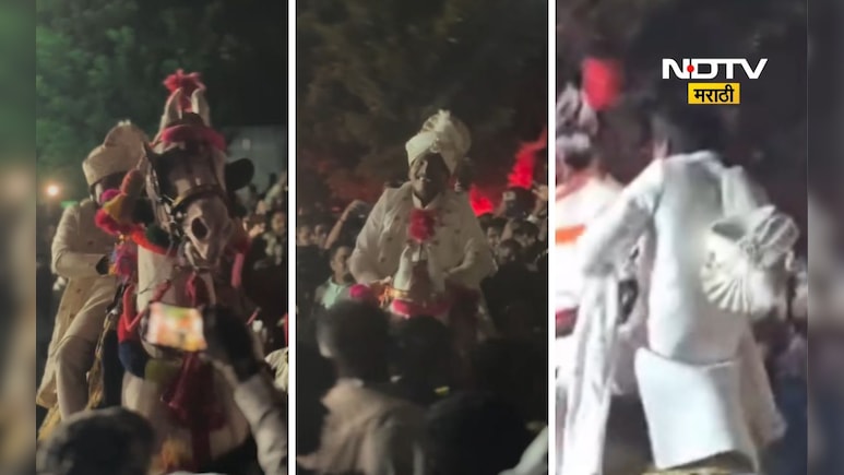 Suraj Chavan: घोडा उधळला, फेटा पडला, सूरज चव्हाण कसा सावरला, वरातीत काय घडलं? पाहा VIDEO