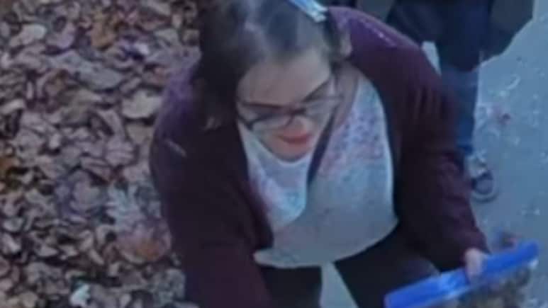 US Woman In 'Slender Man' Stabbing Case Cuts Off Monitoring Device, Goes Missing