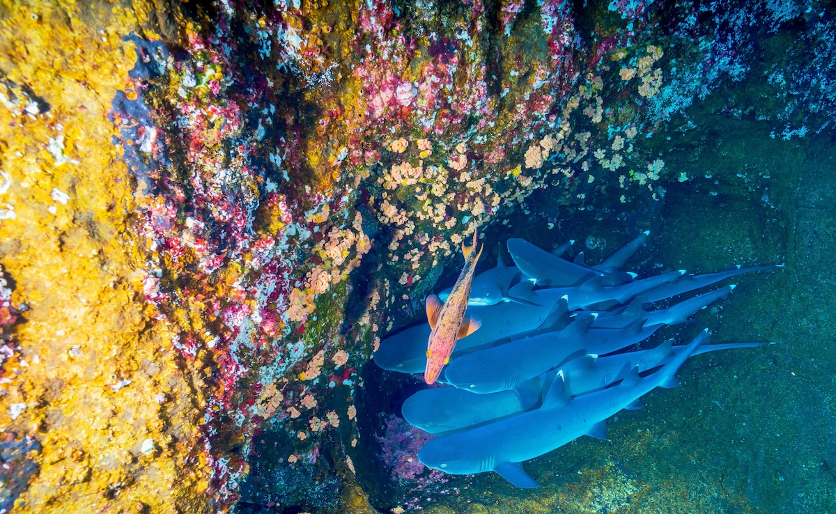 Latest and Breaking News on NDTV Latest and Breaking News on NDTV