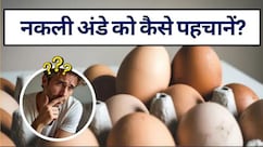 How To Check Egg Quality: अंडा असली या नकली कैसे पहचाने? अंडे की क्वालिटी चेक करने का ये है बेस्ट तरीका