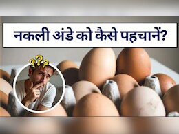 How To Check Egg Quality: अंडा असली या नकली कैसे पहचाने? अंडे की क्वालिटी चेक करने का ये है बेस्ट तरीका