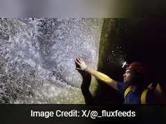 Video: World's Largest Spiderweb Housing Over 110,000 Creatures Discovered