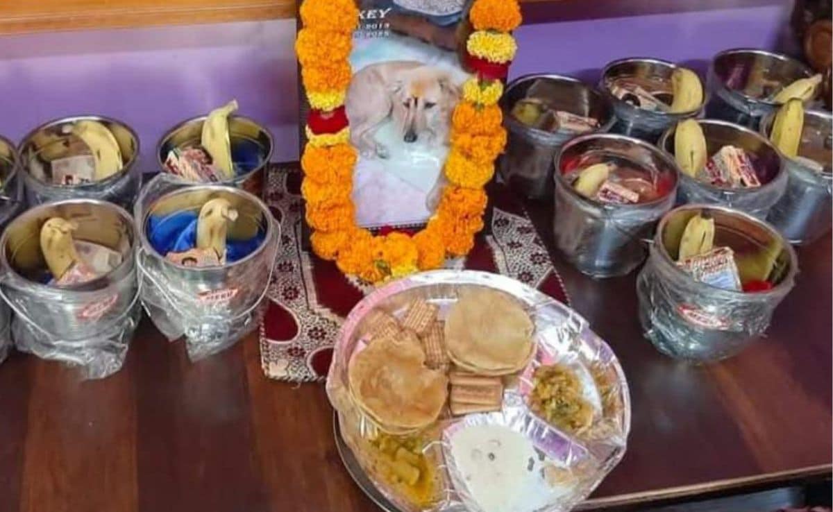 Latest and Breaking News on NDTV