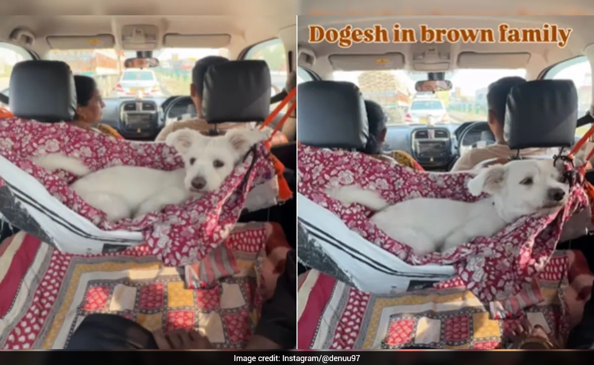 Creative Hack For Travelling With Pet Dog Wins Internet: "Just Indian Things"