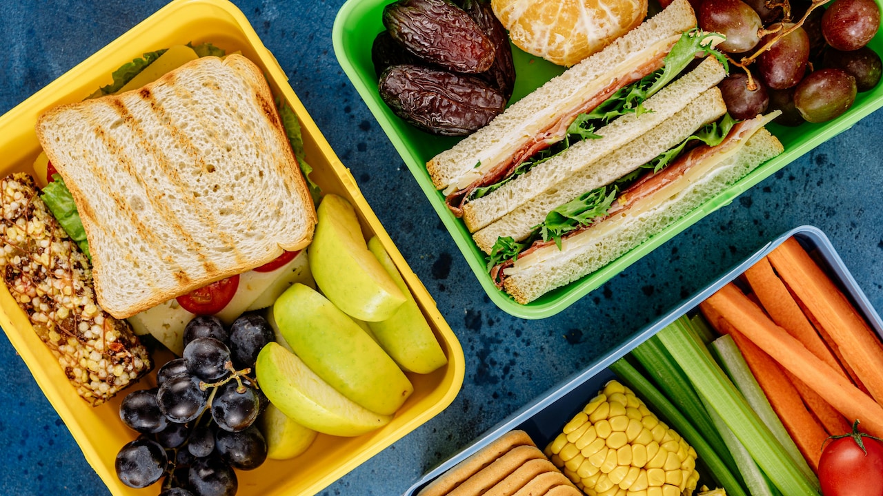 5 Best Insulated Kids Lunch Boxes for School Bags That Get Tossed