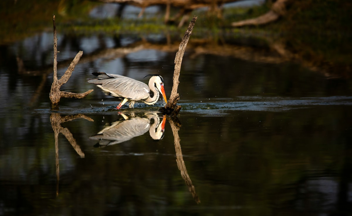 Latest and Breaking News on NDTV Latest and Breaking News on NDTV