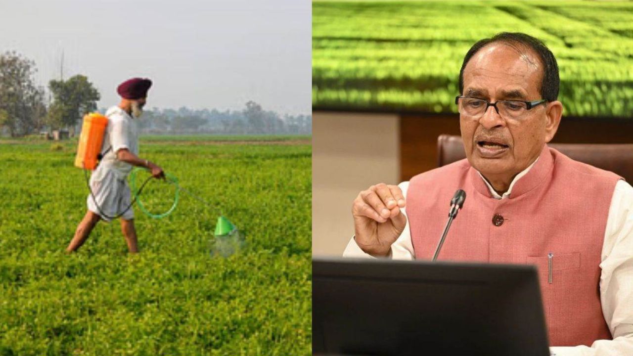 नकली बीज बेचने वालों की खैर नहीं, आएगा नया 'सीड बिल 2025', शिवराज सिंह चौहान बोले - 'किसान को बर्बाद नहीं होने देंगे'