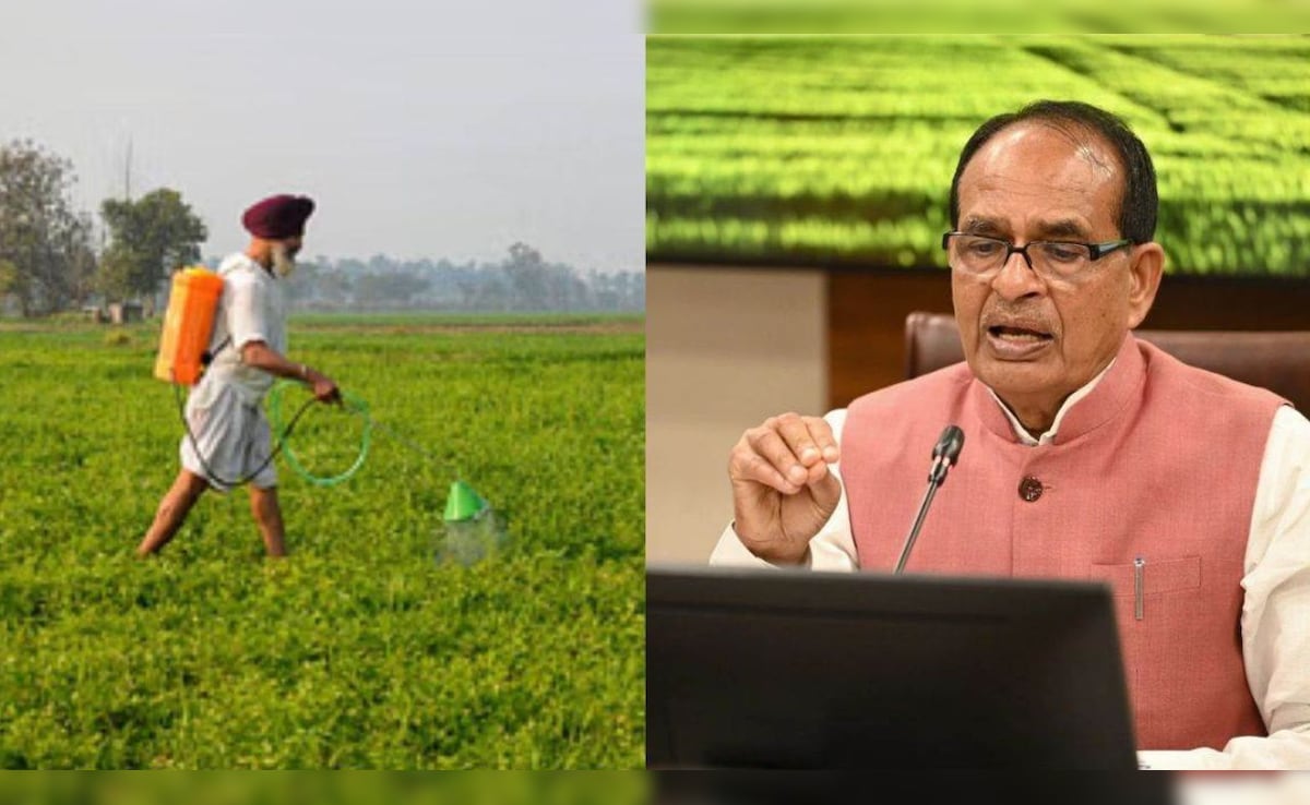 नकली बीज बेचने वालों की खैर नहीं, आएगा नया 'सीड बिल 2025', शिवराज सिंह चौहान बोले - 'किसान को बर्बाद नहीं होने देंगे'