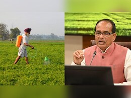 नकली बीज बेचने वालों की खैर नहीं, आएगा नया 'सीड बिल 2025', शिवराज सिंह चौहान बोले - 'किसान को बर्बाद नहीं होने देंगे'