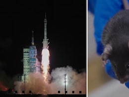 चीन का अंतरिक्ष मिशन...स्‍पेस पर गया सबसे कम उम्र का यात्री, साथ में  4 चूहे भी, जानिए उनका वहां क्‍या काम 