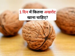 1 दिन में कितना अखरोट खाना चाहिए और सर्दी में बॉडी गरम रखने के लिए कैसे खाएं , जानिए यहां सही तरीका